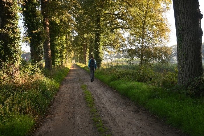 camping nabij zelhem met schitterende natuur