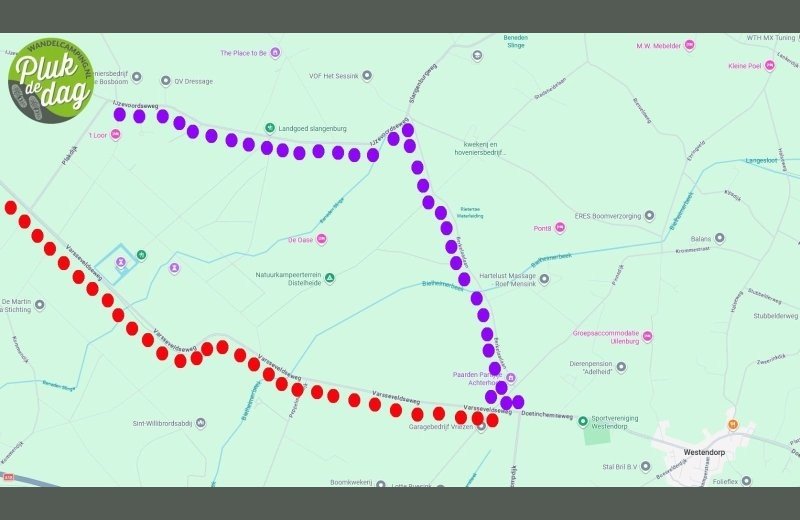 Omleidingen naar onze camping vanaf 2 maart t/m 12 juni