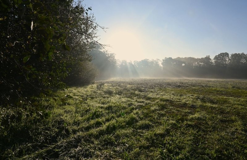In de omgeving kleine camping doetinchem