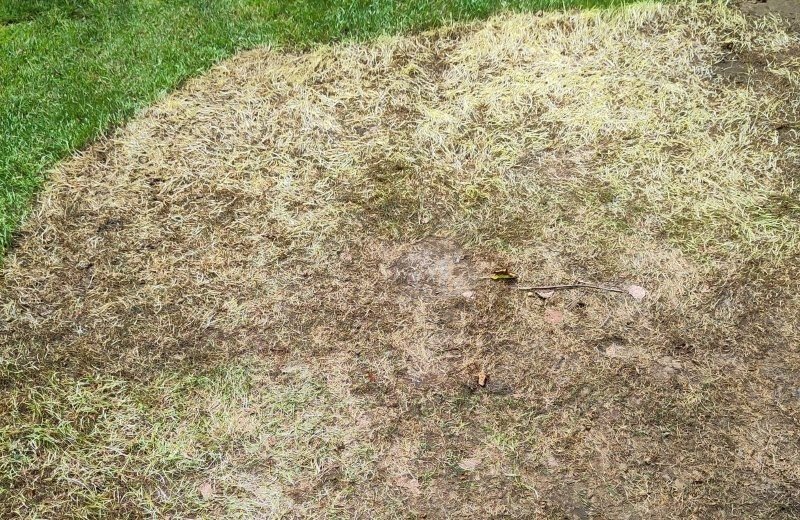 Kampeerveld met vlonders