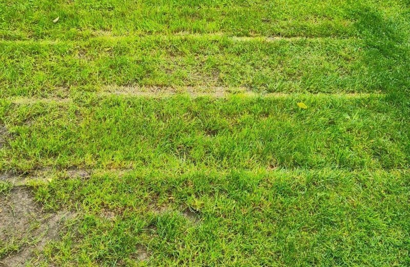 Kamperen achterhoek kampeervelden