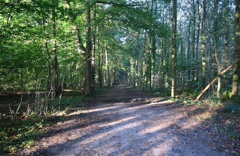 Kleine camping aan het pieterpad omgeving
