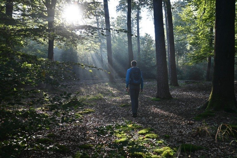 kleine camping achterhoek omgeving