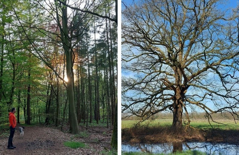 Kleine camping zelhem omgeving