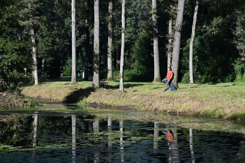 kleine natuurcamping Gelderland