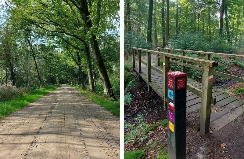 Nabij kleine camping overijssel