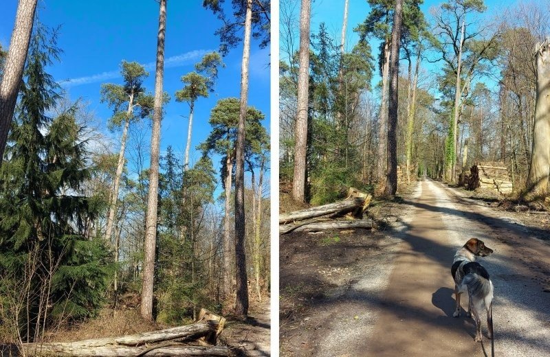 Omgeving camping in doetinchem