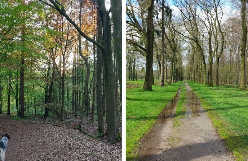 Omgeving kleine camping in achterhoek