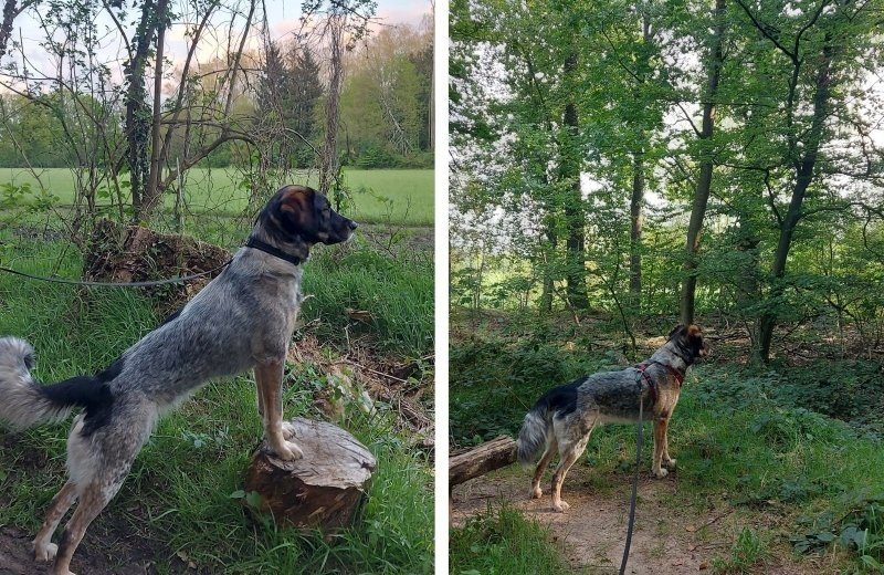 Omgeving kleine camping zelhem