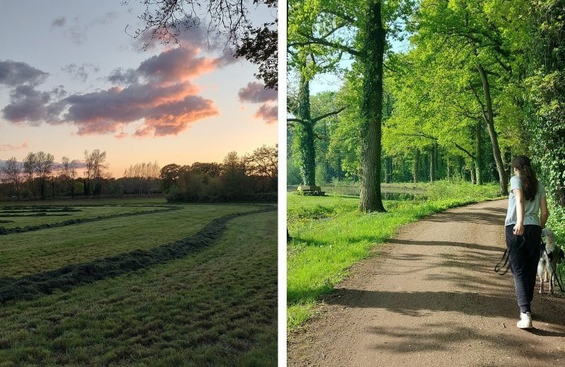 Omgeving nabij camping doetinchem