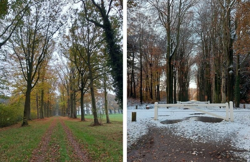 Omgeving rondom camping doetinchem