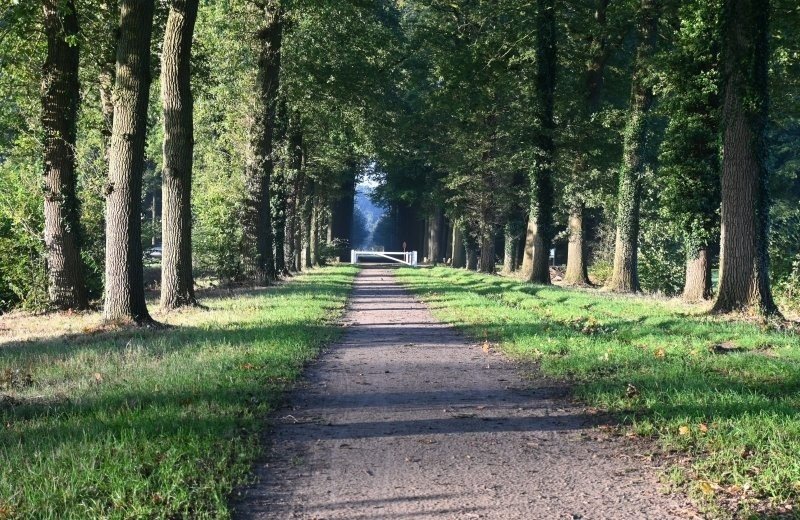 Pieterpad bij pluk de dag