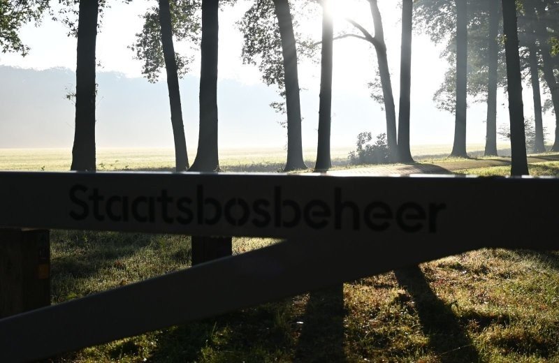 Pieterpad nabij pluk de dag