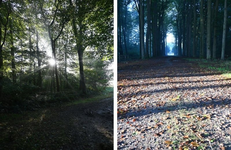 Zelhem en doetinchem camping